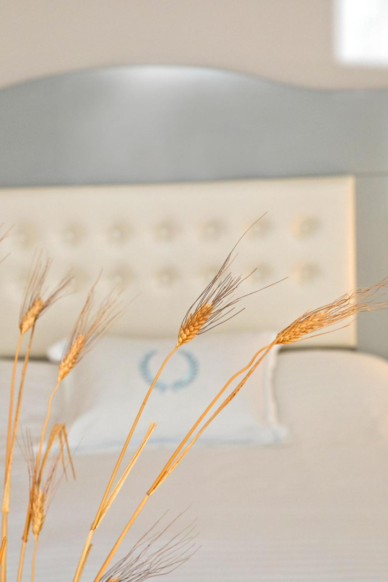 Masouriblu Boutique Hotel Zewnętrze zdjęcie