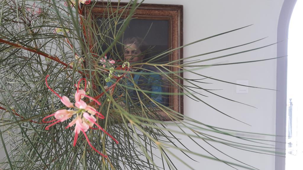 Masouriblu Boutique Hotel Zewnętrze zdjęcie